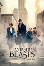 Fantastic Beasts and Where to Find Them